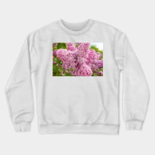 Pink lilac flowers Crewneck Sweatshirt